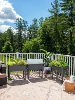 Self-Watering Standing Salad Planter With Cloche 13 Self-Watering Standing Salad Planter With Cloche -Garden Pot Planter Sales Store 8612702 2002 tif