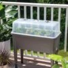 Self-Watering Standing Salad Planter With Cloche 1 Self-Watering Standing Salad Planter With Cloche -Garden Pot Planter Sales Store 8612702 2032 tif