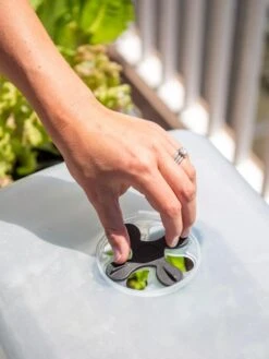 Self-Watering Standing Salad Planter With Cloche 11 Self-Watering Standing Salad Planter With Cloche -Garden Pot Planter Sales Store 8612702 2034 tif