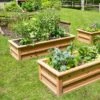 Craftsbury Raised Beds