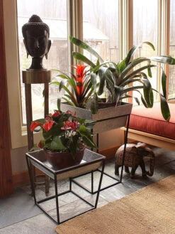 Achla Designs Arne Plant Stand -Garden Pot Planter Sales Store 8612900 03v