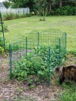 6 Panel Critter Fence With Gate 13 6 Panel Critter Fence With Gate -Garden Pot Planter Sales Store 8612967 2570 tif