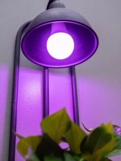 Kira Grow Light Hanging Planter -Garden Pot Planter Sales Store 8613232 5663
