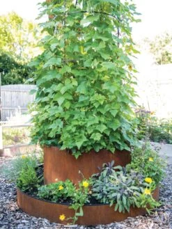 Birdies™ Corten Steel Tiered Round Raised Bed Kit, Tall -Garden Pot Planter Sales Store 8613245 0182