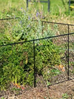 Chicken Wire Critter Fence, 16" High -Garden Pot Planter Sales Store 8613249 0352