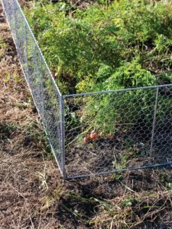 Chicken Wire Critter Fence, 16" High -Garden Pot Planter Sales Store 8613249 0358
