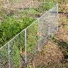 Chicken Wire Critter Fence, 16" High 1 Chicken Wire Critter Fence, 16" High -Garden Pot Planter Sales Store 8613249 0368 chicken wire critter fence 16 inches high