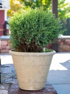 Self-Watering LavaStone® Anson Pot -Garden Pot Planter Sales Store 8613255 0144