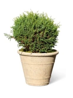 Self-Watering LavaStone® Anson Pot -Garden Pot Planter Sales Store 8613255 0150