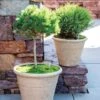 Self-Watering LavaStone® Anson Pot -Garden Pot Planter Sales Store 8613256 0124 self watering lavastone anson pot