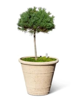 Self-Watering LavaStone® Anson Pot -Garden Pot Planter Sales Store 8613256 0138