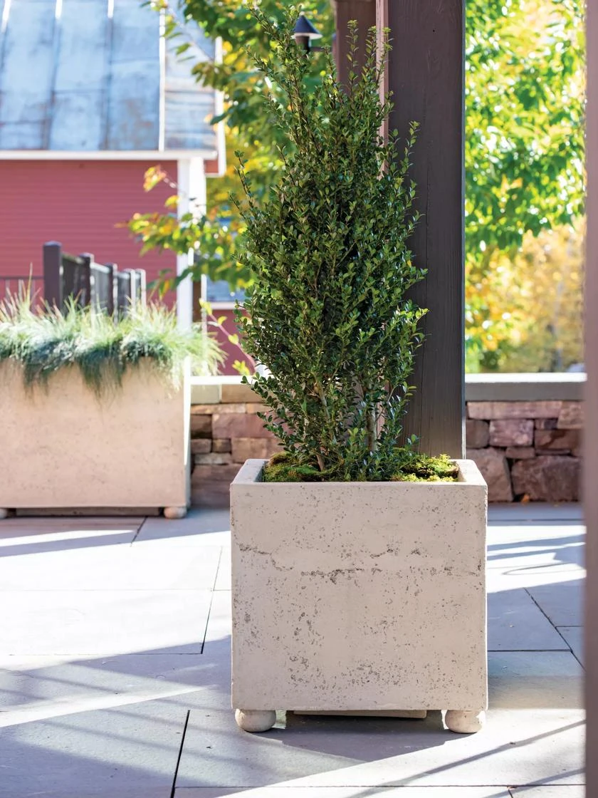 Self-Watering LavaStone® Modern Square 3 Self-Watering LavaStone® Modern Square