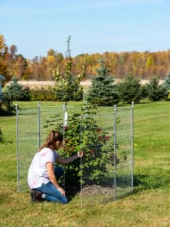 Tall Chicken Wire Critter Fence Extension Panel, Set Of 2 -Garden Pot Planter Sales Store 8613260 0044 1