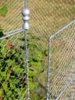 Tall Chicken Wire Critter Fence With Gate -Garden Pot Planter Sales Store 8613260 0083