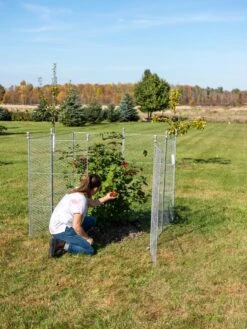 Tall Chicken Wire Critter Fence Extension Panel, Set Of 2 -Garden Pot Planter Sales Store 8613260 0090