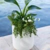 Arden Round Planter 2 Arden Round Planter -Garden Pot Planter Sales Store 8613267 0112 arden round planter