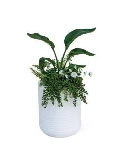 Arden Round Planter -Garden Pot Planter Sales Store 8613267 0115