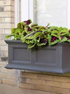 Fairfield Self-Watering Window Box, 2’ -Garden Pot Planter Sales Store 8613268 08V tif