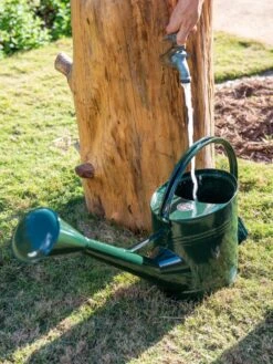 Long Reach Watering Can, Large -Garden Pot Planter Sales Store 8613346 0147