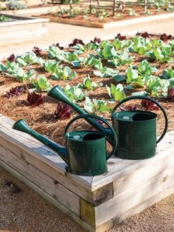 Long Reach Watering Can, Large -Garden Pot Planter Sales Store 8613346 0148 1
