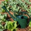 Long Reach Watering Can, Large -Garden Pot Planter Sales Store 8613346 0149