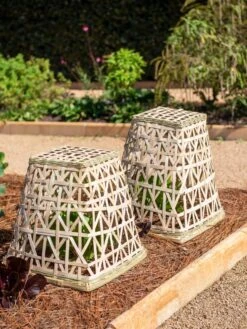 Bamboo Cloche, Set Of 2 14 Bamboo Cloche, Set Of 2 -Garden Pot Planter Sales Store 8613351 0150 bamboo cloche set of 2