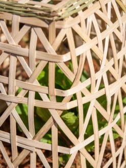 Bamboo Cloche, Set Of 2 19 Bamboo Cloche, Set Of 2 -Garden Pot Planter Sales Store 8613351 0153