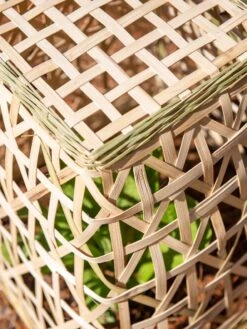 Bamboo Cloche, Set Of 2 18 Bamboo Cloche, Set Of 2 -Garden Pot Planter Sales Store 8613351 0154