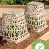 Bamboo Cloche, Set Of 2 -Garden Pot Planter Sales Store 8613351 12