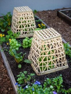 Bamboo Cloche, Set Of 2 17 Bamboo Cloche, Set Of 2 -Garden Pot Planter Sales Store 8613351 6766