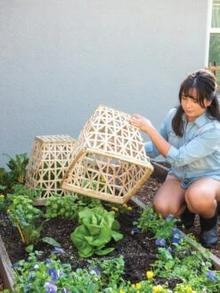 Bamboo Cloche, Set Of 2 15 Bamboo Cloche, Set Of 2 -Garden Pot Planter Sales Store 8613351 6862