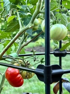 Oasis Self-Watering Tomato Planter With Trellis -Garden Pot Planter Sales Store 8613440 01TEST