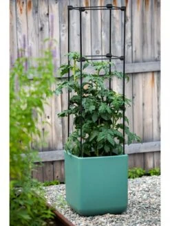 Oasis Self-Watering Tomato Planter With Trellis -Garden Pot Planter Sales Store 8613440 0373 3 4