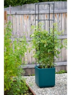 Oasis Self-Watering Tomato Planter With Trellis -Garden Pot Planter Sales Store 8613440 0376 3 4