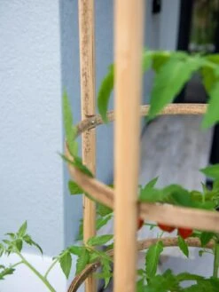 Elevated Bamboo Tomato Planter And Trellis -Garden Pot Planter Sales Store 8613502 0423
