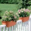 2' X 4' Railing Planter, 25" 2 2' X 4' Railing Planter, 25" -Garden Pot Planter Sales Store GS34336 01 24 inch 2x6 railing planters