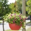Self-Watering Hanging Basket -Garden Pot Planter Sales Store GS34368 10 tif