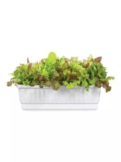 31" Self-Watering Window Box -Garden Pot Planter Sales Store GS36523 01Z 3 4