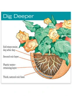 AquaSav™ Replacement Liners, Set Of 3 8 AquaSav™ Replacement Liners, Set Of 3 -Garden Pot Planter Sales Store hiw 38 583